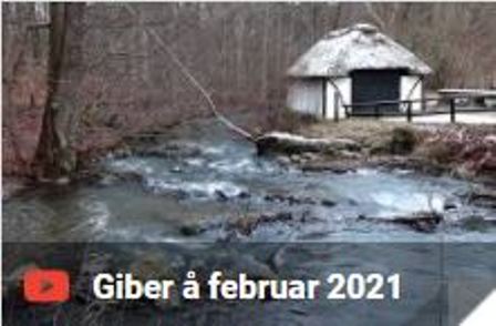2021-Giberaa.JPG