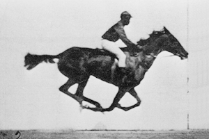 Fotohistorie-3.gif